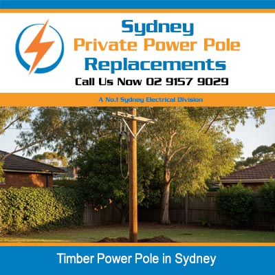 Timber power pole in Sydney residential front yard with overhead electrical wiring
